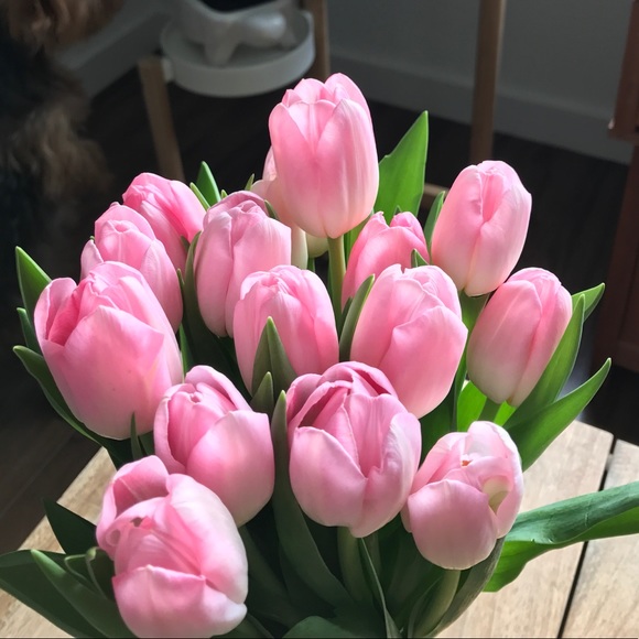 Meet your Posher, Connie - Picture 1 of 1